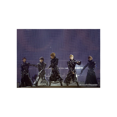 東方神起 3rd LIVE TOUR 2008 ～T～ 生写真セット（8枚入り）