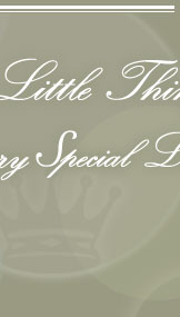  every little thing 
10th Anniversary Special Live