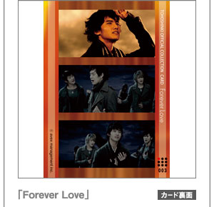 �uForever Love�v