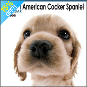 THE DOG �A�����J���E�R�b�J�[�E�X�p�j�G��