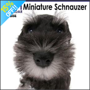 THE DOG �~�j�`���A�E�V���i�E�U�[