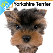 THE DOG ���[�N�V���[�E�e���A