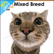 THE CAT �~�b�N�X