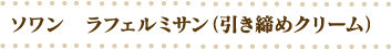 �\�����@���t�F���~�T���i�������߃N���[���j