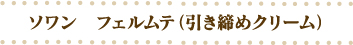 �\�����@�t�F�����e�i�������߃N���[���j