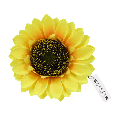 q}Ɛ`[twASi2025ver.j