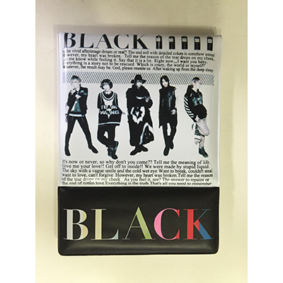 BLACK 折りたたみミラー