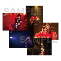 ASIA TOUR 2025 フォトセット