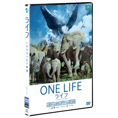 Ct -̂Ȃ-@yX^_[hEGfBVz