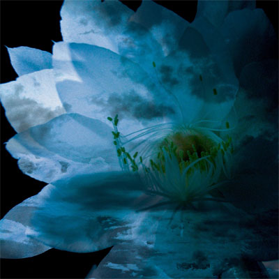 Amazon.co.jp: CD LUNA SEAルナシーLUNA SEA 1991年作品