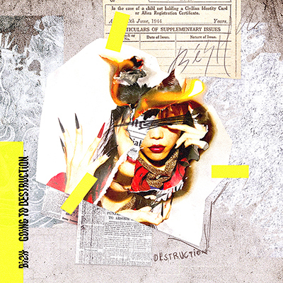 GOiNG TO DESTRUCTiON{MTV UnpluggedyDVDՁziCD+DVDj