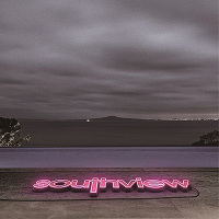 southview（CDのみ）