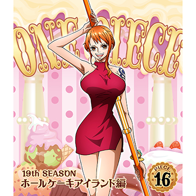 ONE PIECE s[X 19THV[Y z[P[LACh piece.16iBlu-rayj