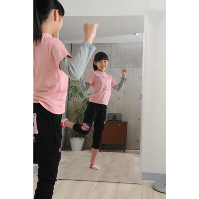 refex Ȃyʃ_X~[ 85~170cm Vo[DM-2