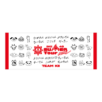 【チームKⅡ】SKE48 SUMMER Tour 2025チーム別フェイスタオル
