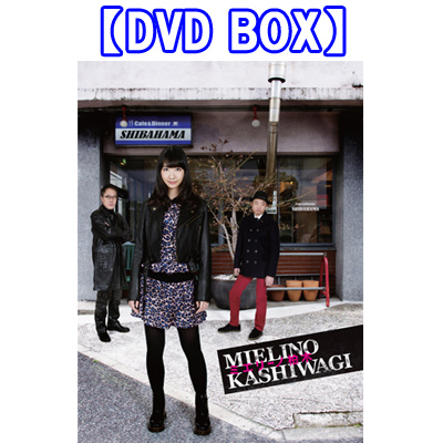 ミエリーノ柏木【DVD BOX】
