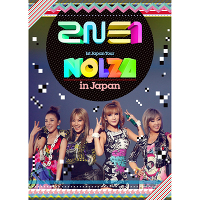 2NE1 1st Japan Tour 'NOLZA in Japan'