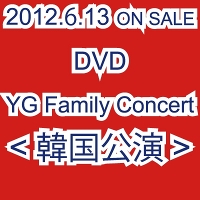 V.A.：15th ANNIVERSARY YG FAMILY CONCERT in SEOUL 2011（3枚組DVD