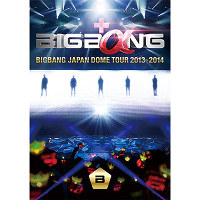 BIGBANG JAPAN DOME TOUR 2013～2014【通常盤】（2枚組DVD）