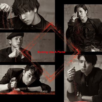 Burning Like A FlameiCD+DVDj