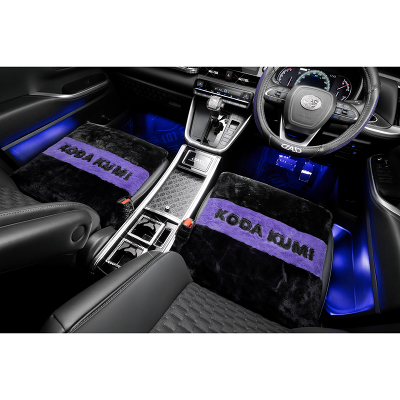 D.A.D~KODA KUMI yӂӃNbVz