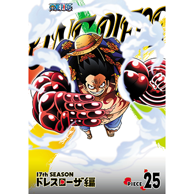 ONE PIECE s[X 17THV[Y hX[U piece.25iDVDj