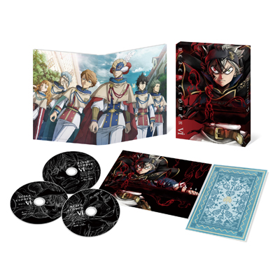 ubNN[o[ Chapter 6iDVDj