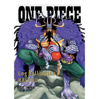 ONE PIECE Log Collection gKAIDOh(4DVD)