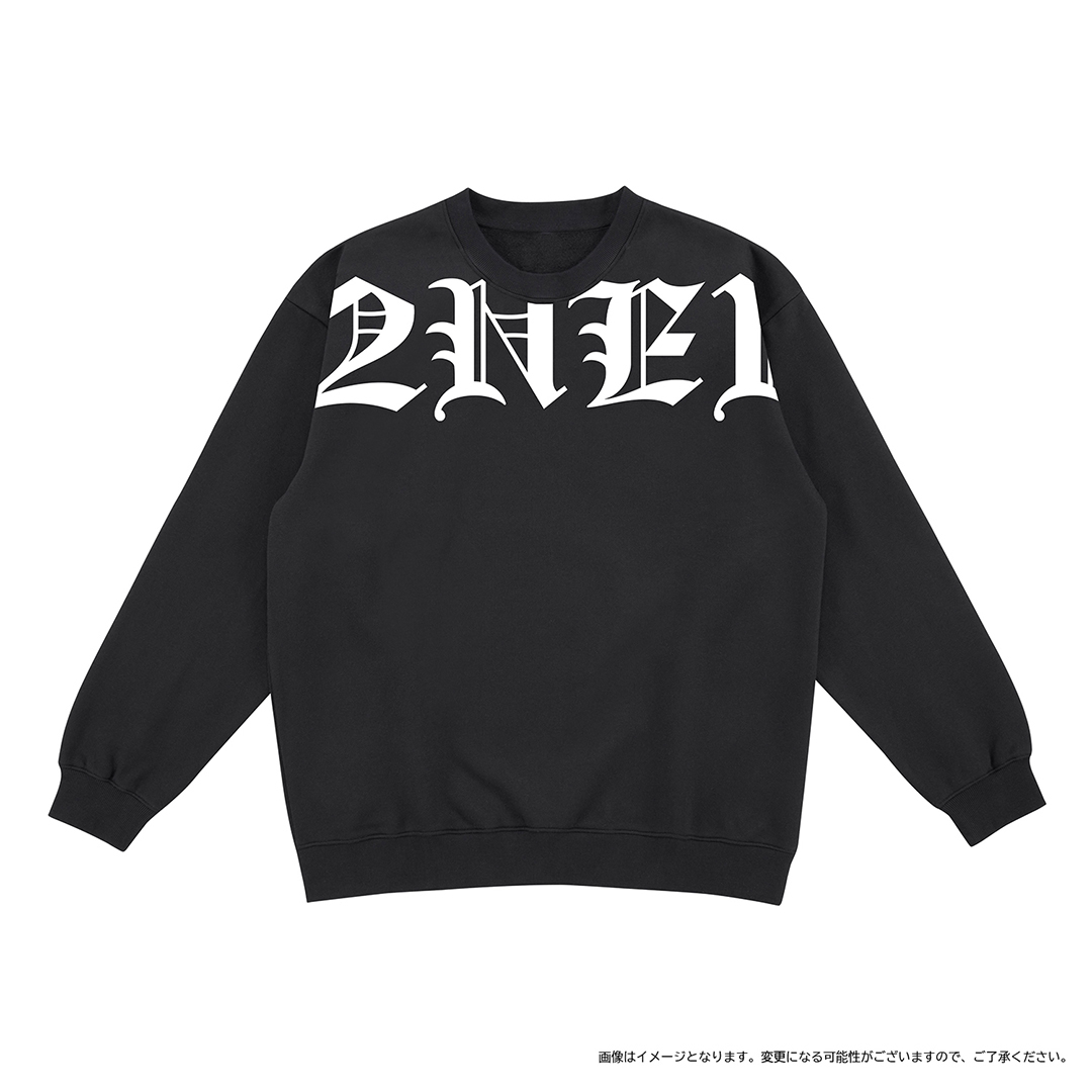 2NE1X-A000012_t_01_1080.jpg