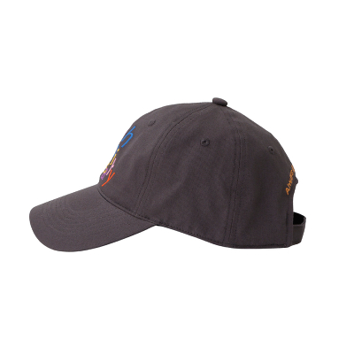 AAA20th���S�L���b�v CHARCOAL