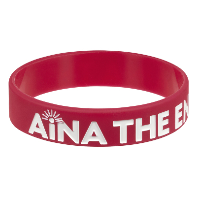 ���V����AiNA THE END ���o�[�o���h