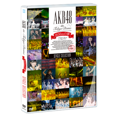 AKB48 in TOKYO DOME`1830m̖`SINGLE SELECTION