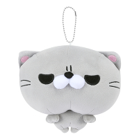 t@gxCr[ }XRbgʂ (SC)