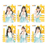 【チームS】SKE48 SUMMER Tour 2025クリアトレーディングカード（ランダム全14種＋特別仕様全14種）
