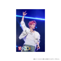 |XgJ[hBiYOSHIj