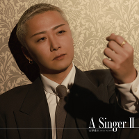 A Singer IIiCDj