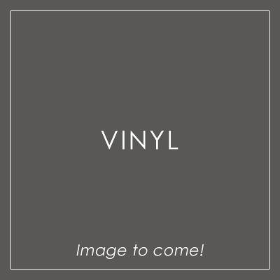 y񐶎YՁzFRAGMENTS - CONCERT HALL LIVE 2025iLPՁj