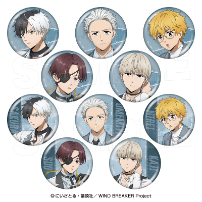 TR�L�����o�b�W�R���N�V����(�S10��)_�P�i