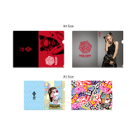 CLEAR FILE FOLDER 4PCS SET BiA4^A5j