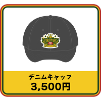 �f�j���L���b�v�ylecca 20th Anniversary Live �hDreamers�h�z