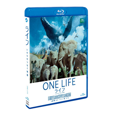 Ct -̂Ȃ-@yX^_[hEGfBVz