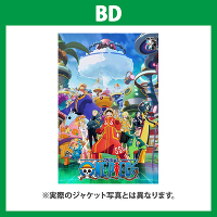 ONE PIECE s[X 21STV[Y GbOwbh piece.4@BD