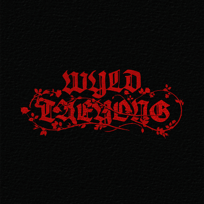 �y�؍��ՁzThe 1st Album 'WYLD'�yWYLD BOOK Ver.�z