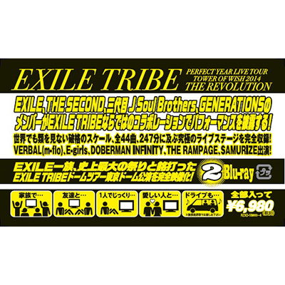 EXILE TRIBE PERFECT YEAR LIVE TOUR TOWER OF WISH 2014 ～THE 