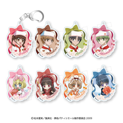 TR�A�N�����L�[�z���_�[�R���N�V����(�S8��)_BOX