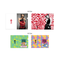 CLEAR FILE FOLDER 4PCS SET CiA4^A5j