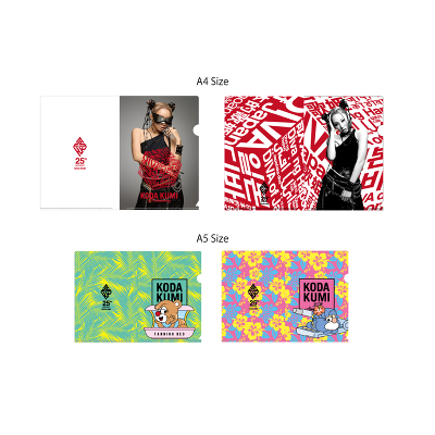 CLEAR FILE FOLDER 4PCS SET CiA4^A5j
