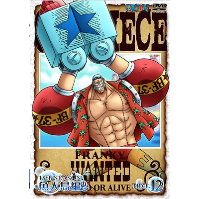ONE PIECE s[X 15thV[Y l piece.12