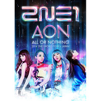 2014 2NE1 WORLD TOUR ～ALL OR NOTHING～ in Japan（2枚組DVD）