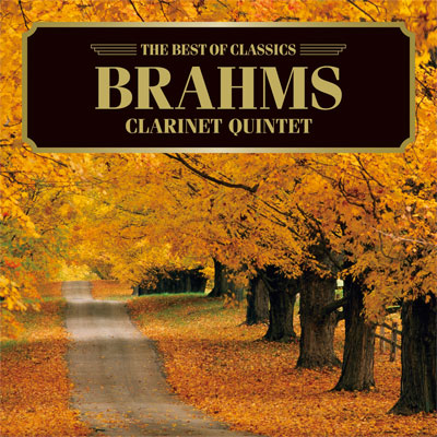 ブラームス：クラリネット五重奏曲、主題と変奏